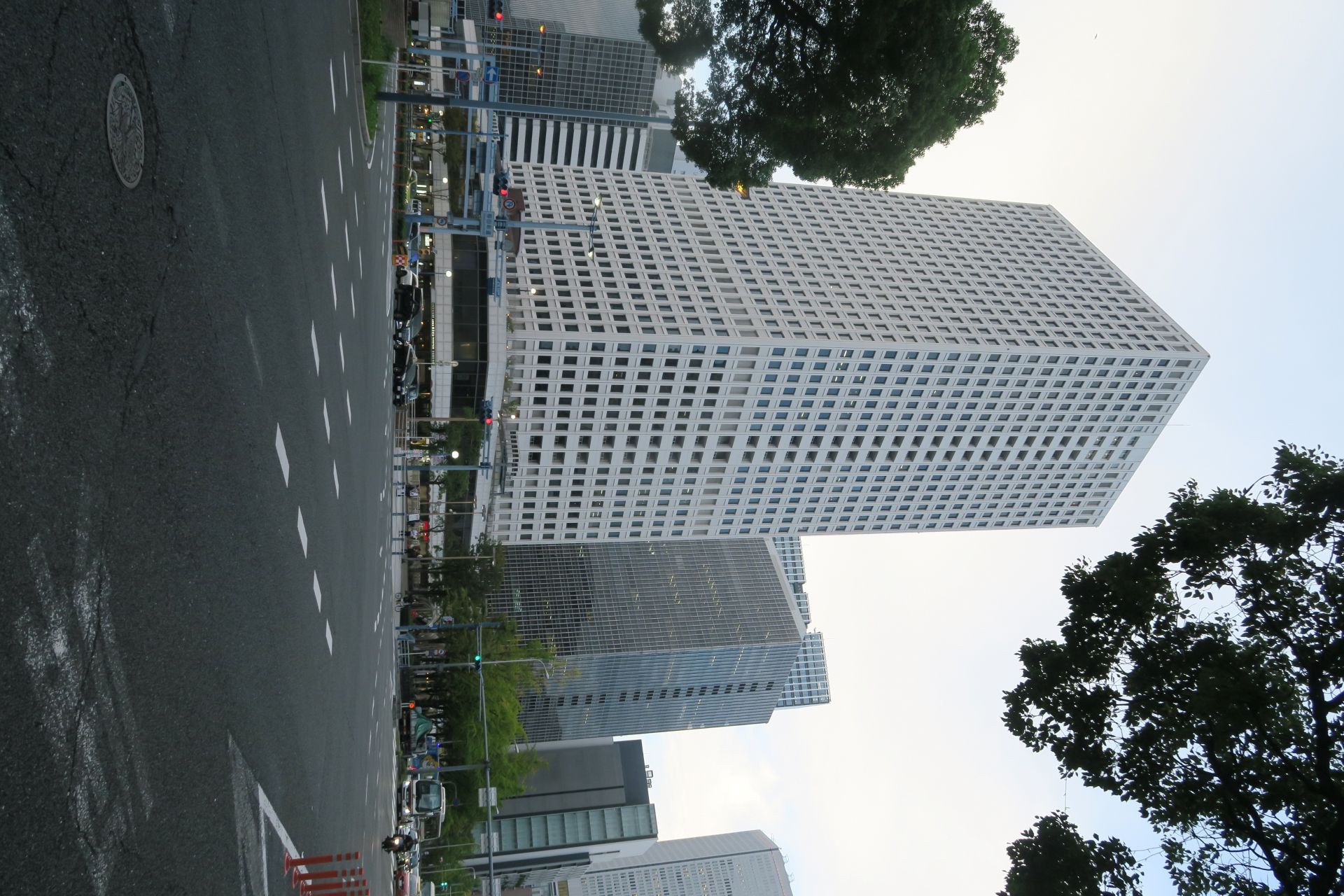 構造画像 d
