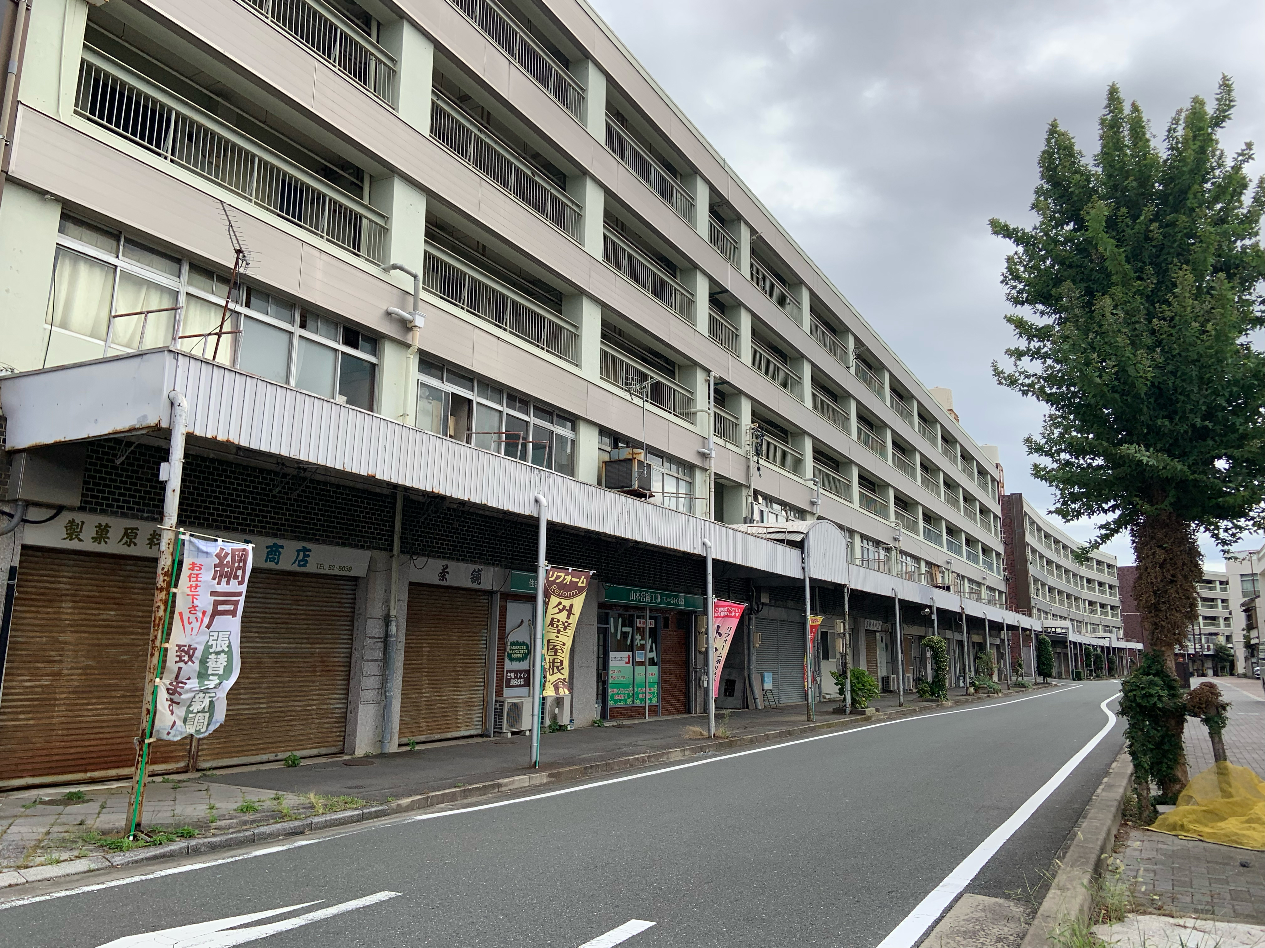 構造画像 d